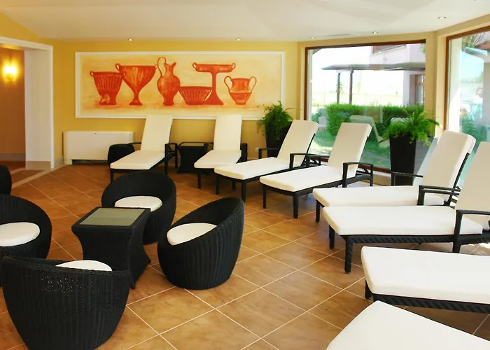 Vineyards - Panorama