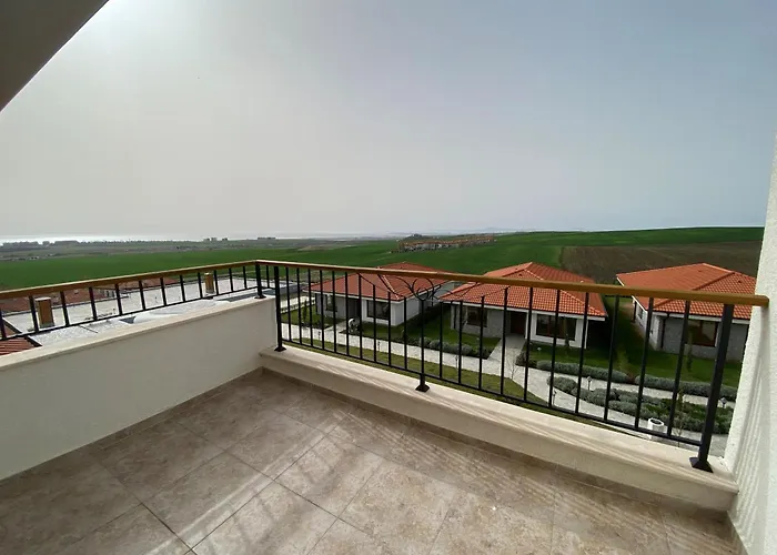 Vineyards - Panorama *