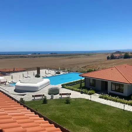 Vineyards - Panorama