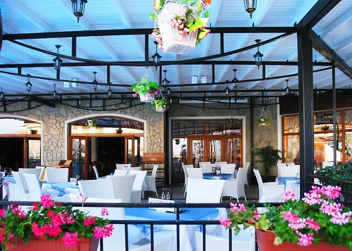 Vineyards - Panorama